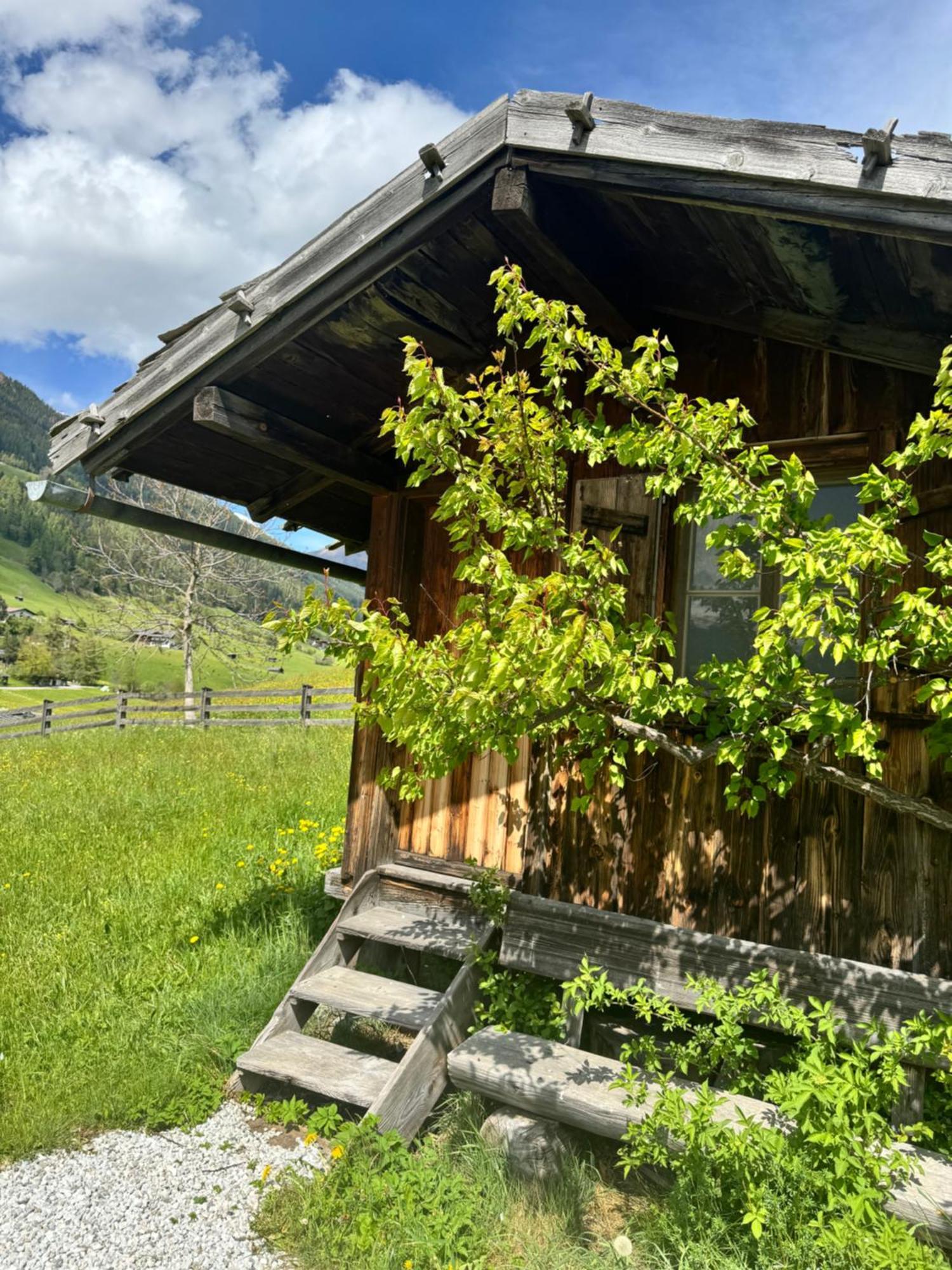 Haus Ilmer Neustift im Stubaital Ngoại thất bức ảnh